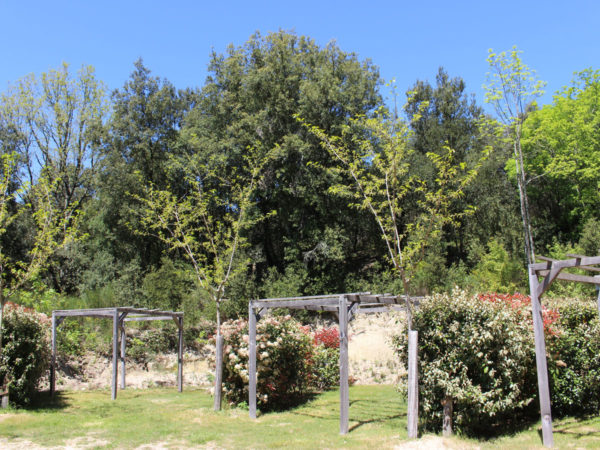 Les emplacements Conforts