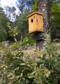 Nest box